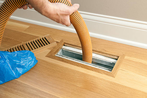 Best Ductwork Cleaning Services  in Ripley, TN