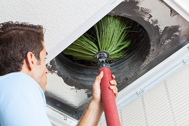 Best Residential Air Duct Cleaning  in Ripley, TN