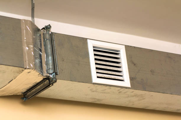 Best Professional Duct Cleaning Services  in Ripley, TN